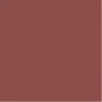Unstoppable - Extreme Matte Liquid Lipstick